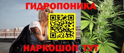 герыч Бердск