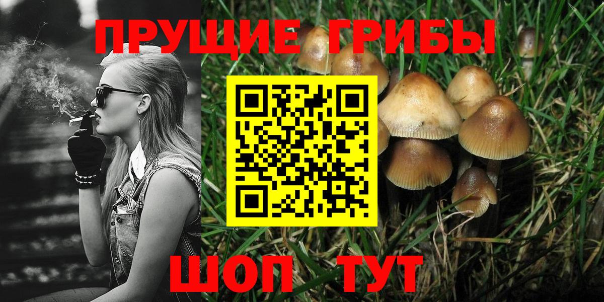 Псилоцибиновые грибы GOLDEN TEACHER  Псилоцибиновые грибы GOLDEN TEACHER  Вход с VPN  Пушкино 