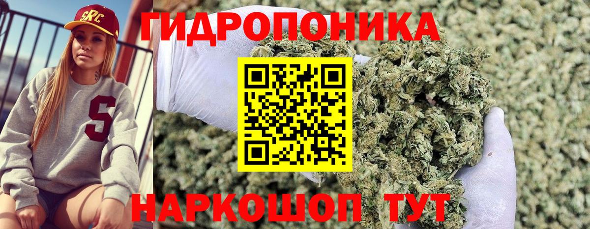 Конопля Ganja Пушкино